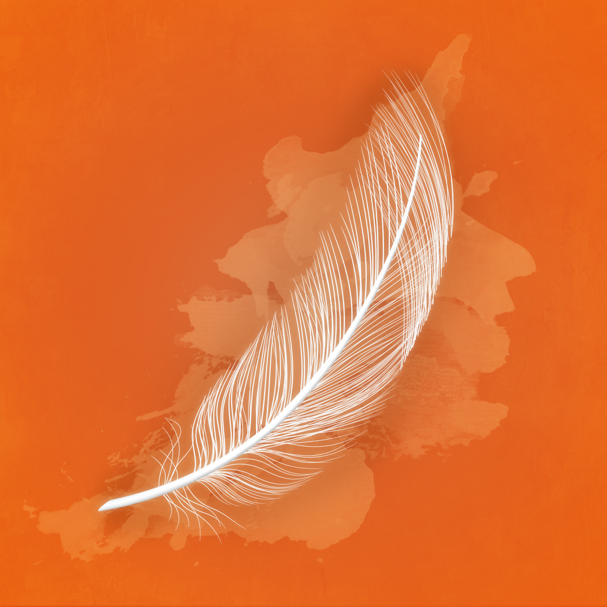 Orange feather